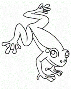 Red Eyed Tree Frog Coloring Page Kids | 99coloring.com
