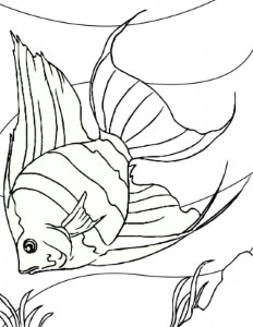 Coloring Pages Fish Bowl Coloring Pages For Kids 108271 Fish Bowl