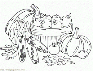Coloring Pages Fall Harvest Natural World Autumn Free Printable