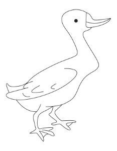 Mallard duck coloring page | Download Free Mallard duck coloring