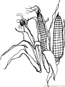 Coloring Pages Corn 2 (Holidays > Thanksgiving Day) - free