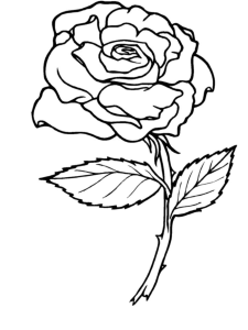 rose coloring pages printable for kids | Coloring Pages