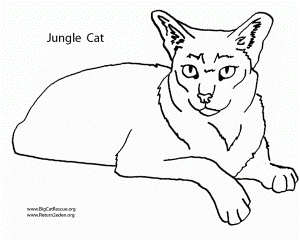 Jungle Animal Coloring Pages Jungle Animal Coloring Pages Free