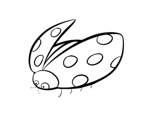 Ladybug coloring page | ColorDad
