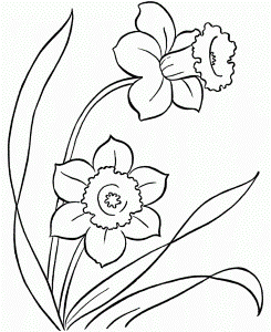 Spring Flower Coloring Pages For Kids | Flowers Coloring Pages
