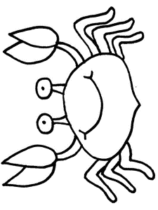 Hermit Crabs Coloring Pages
