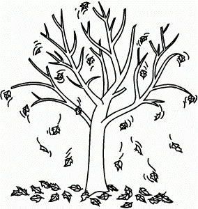 Autumn Fall Tree Coloring Page - Tree Coloring Pages : Coloring