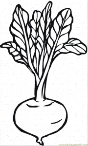 Coloring Pages Beetroot 3 (Natural World > Vegetables) - free