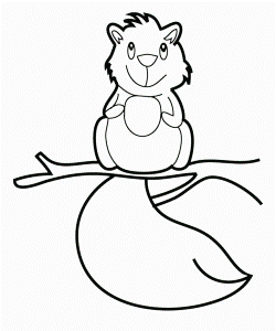 Cute Baby Squirrel Coloring Pages - Animal Coloring Coloring Pages