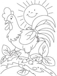 Chicken Hawk Coloring Pages | 99coloring.com