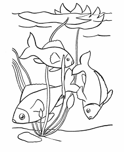Pet Fish Coloring Pages | Free Printable Tropical Fish Pet
