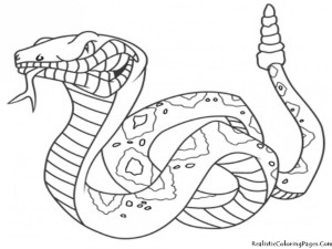 Coloring Pages Of Snakes Free Coloring Pages For Kids 289750 Snake