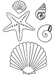 Sea Shells Coloring Pages