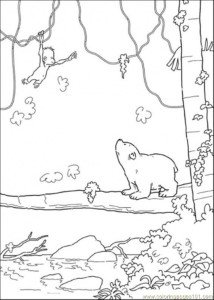 Coloring Pages Polar Bear Is Looking At The Monkey (Cartoons