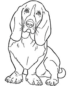 Basset Hound Coloring Pages 5 | Free Printable Coloring Pages