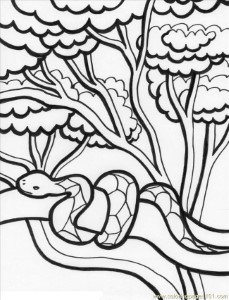 Free Rainforest Colouring Pages