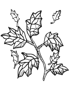 Free Printable Fall Leaves Coloring Pages