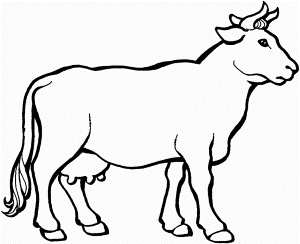 Baby Cow Coloring Pages Coloring Picture HD For Kids Fransus