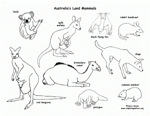 Australia - Habitats, Animals and Activities -- Exploring Nature
