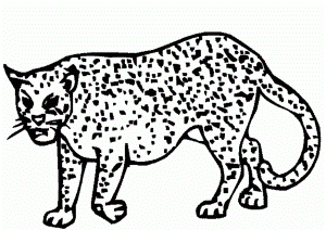 Cheetah Coloring Pages :Kids Coloring Pages | Printable Coloring