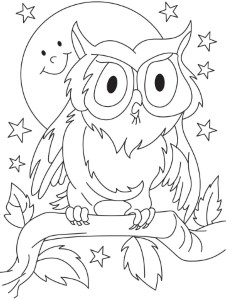 owl coloring pages for preschoolers | Coloring Pages For Kids