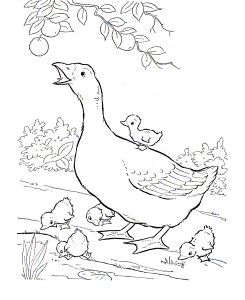 Farm Animal Coloring Pages | Printable Geese Coloring Page and