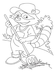 Raccoon a farmer coloring pages | Download Free Raccoon a farmer
