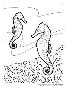 FishChannel Coloring Pages