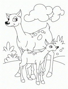 Fawn with deer coloring pages | Download Free Fawn with deer