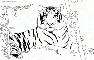 Tiger-Face-Coloring-Page | COLORING WS