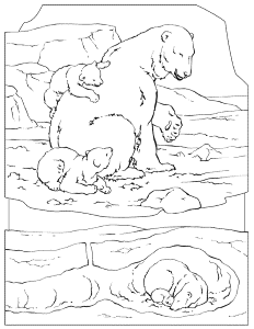 Polar Bear Coloring Pages For Kids 159 | Free Printable Coloring Pages