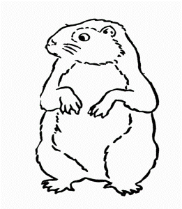 Groundhog Day Coloring Pages : Groundhog Day Scratching Head