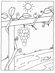 grapes fruit picture coloring pages 3 - games the sun | games site