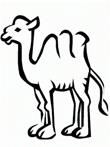Coloring Page - Camel coloring pages 9
