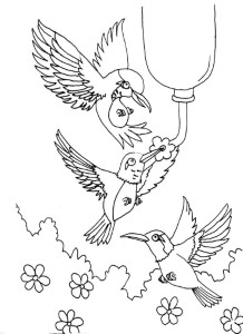 hummingbirds feeding | Adult Coloring Pages