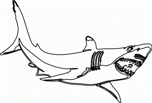 Forms Hammerhead Shark Coloring Pages Free Coloring Pages - Widetheme