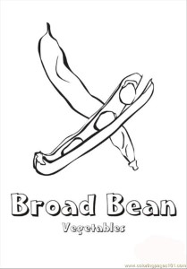 Broad Bean Coloring Page - Free Vegetables Coloring Pages ...