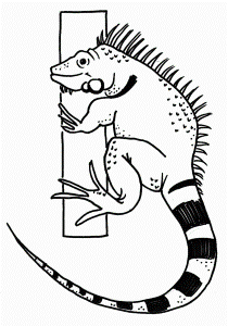 9836 Printable Pictures Iguana Animal Coloring Page Templates For