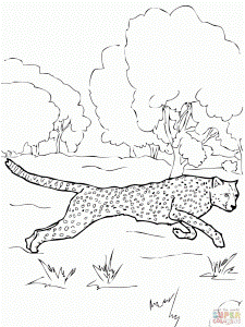 Cheetah Coloring Page Coloring Pages 256458 Cheetah Coloring Pages