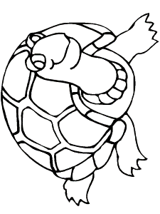 Turtle coloring page - Animals Town - animals color sheet - Turtle