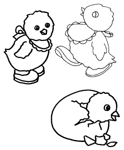 Chick coloring Pages