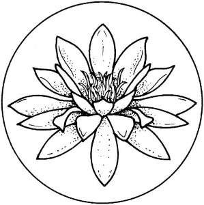 Lily Pad Outline - Cliparts.co