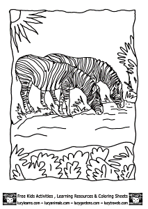 grasslands biome Colouring Pages