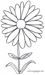 Free Daisy Coloring Pages - deColoring