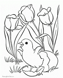 Bouquet Of Flower Coloring Pages | Top Coloring Pages