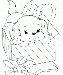 A Small Dog Is Out Of The Box Coloring Page |Dog coloring pages