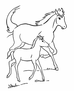 Horse Coloring Pages | Printable Mare and her colt Coloring Page