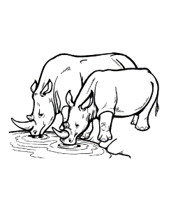 Rhino Coloring Pages - Free Printable Coloring Pages | Free