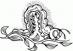 Caterpillar Coloring Pages Images - Caterpillar Coloring Pages