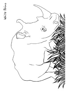 Rhinoceros Coloring Page for Kids - Free Printable Picture